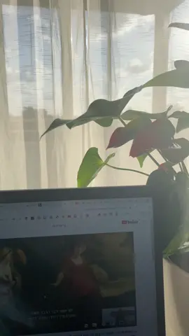 יום קוקו גבוה