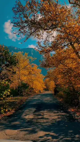 Adana’nın Pozantı ilçesinde bulunan Belemedik Tabiat Parkı, Özellikle sonbarın simgesi olan sarı renginin bütün tonlarını bir arda görebilrsiniz. 