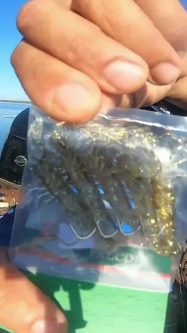 COMO Pescar com CAMARÃO ARTIFICIAL?! #pesca #pescaria #pescador #peixe #piapara #corvinas #pescariaesportiva #minasgerais #foryou #isca #pescabrasil