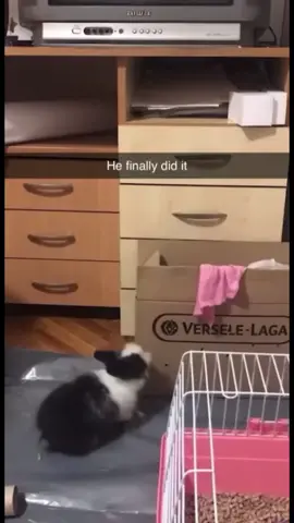#memes #funnyvideos #foryou 