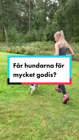 Tack till 80K!🥳❤️ #hundträning #hundtrix #fyp 