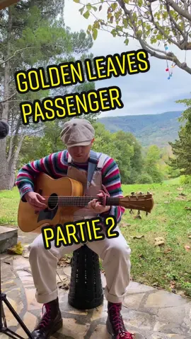 Golden leaves 🍁 @passengerofficial ( partie 2 ) #goldenleaves #passenger #passengercover 