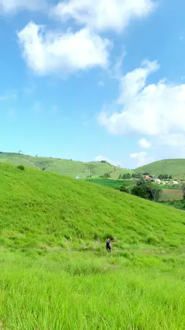 Đồng cỏ 68 - Mộc Châu