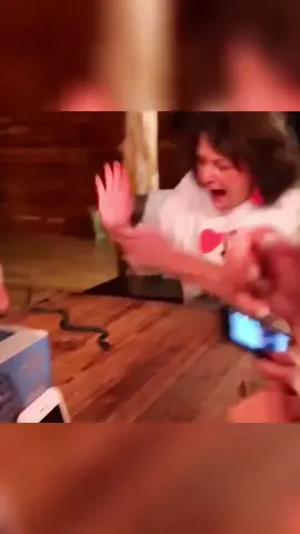 The end 😂 😂#fun #funny #funnyvideo #funnyvideos #fyp #viral #laugh #haha #foryou 