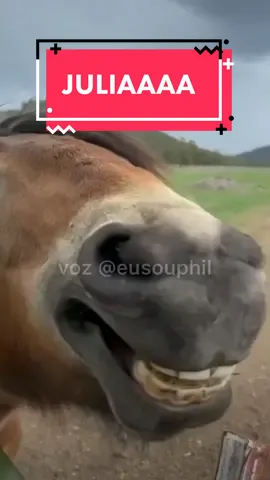 Juliaaaaaa 🐴 #eusouphil #cavalinhosincero 