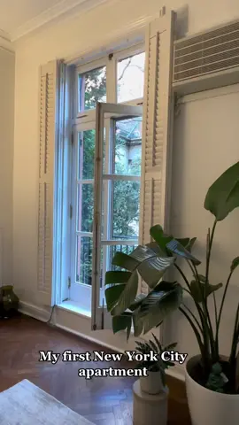 Spent way too much money for this. But love it. #fyp #foryoupage #nycapartment #nycrealestate 