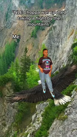 cause imma make some shake for @NLE choppa 😭😭#CapCut #HuluChippendalesDance #feelitintheair #blackgirlhairstyles 