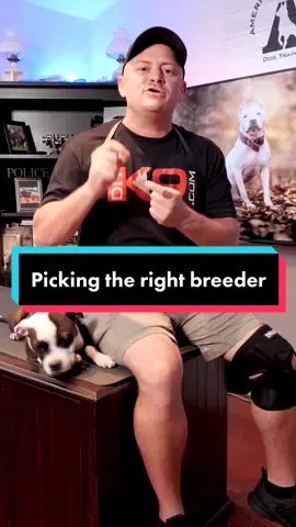 How to Pick the Right Breeder #animals #dog  #puppy #dogsoftiktok #doglover #BeTheReasonVisa #fyp 