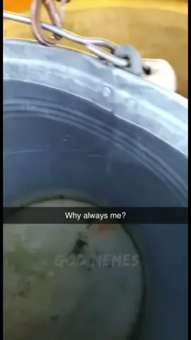 #memes #funnyvideos #joke 