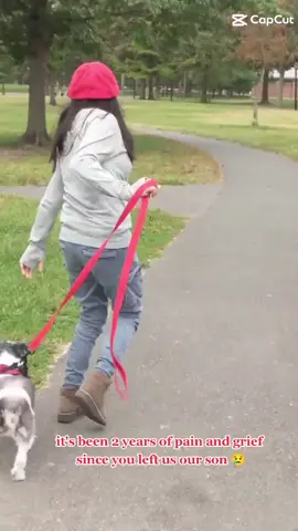 #animals #dogsoftiktok #dog #petsarehappiness #furbaby #furbabies #sad #sadstory @#shitzu  #missing #imissedmydog #imossyou 