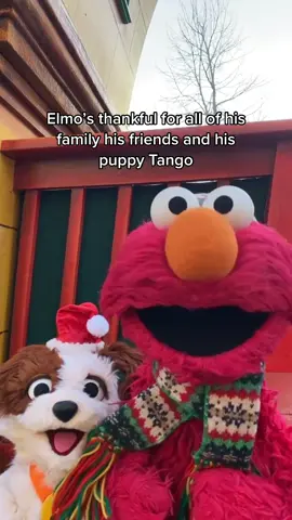 What are you most thankful for this season? 🤗 Last year at the #MacysParade, the Sesame Street friends expressed their gratitude for the things and people they are most thankful for! Cue the confetti and join the Sesame Street family for the 96th @Macy’s Thanksgiving Day Parade on Thursday, November 24th!