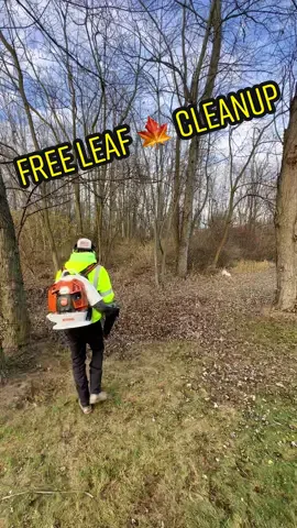 A free Leaf Cleanup 🍁 can go a long way 💚 #lawntok #foryou #zachslawncarellc #leafremoval #thanksgiving 