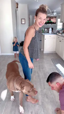 Let Loose Moose Hover Soccer Ball is literally SO FUN ⚽️  🎉