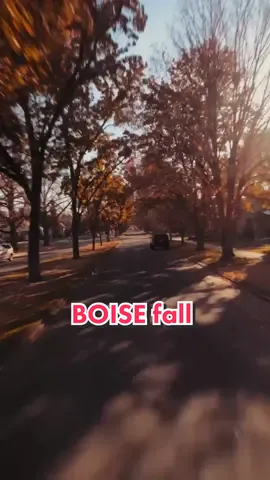 Next adveture is just begining 