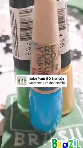 #copagestante  #copadomundo #gravida2022🤰🏻💙 #copadobrasil