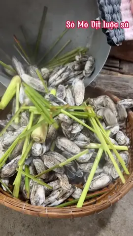 Con mỏ vịt luộc sả #đặcsảnmiềnsôngnước #dacsanmiensongnuoc #mónngonmientay #conmỏvịt 