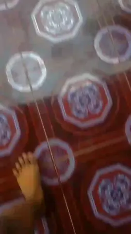 #fyp #fugenk #fuantikecot #jatilawang24jam #fustdlimiter