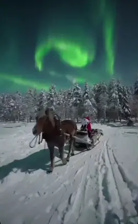 Santa Claus and the Northern Lights! 🎅🏽❤️❄️ (@absolutechristmas) #fyp #christmas #northernlights #snow #michaelbublé #winterwonderland #itsbegginingtolookalotlikechristmas 