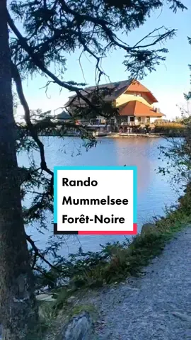 🥾 Idée rando facile en Forêt Noire, près de Strasbourg : le lac Mummel (ou Mummelsee) et la vue de dingue au sommet du Hornisgrinde 😍 #schwarzwald #mummelsee #mummelseeschwarzwald #hornisgrinde #foretnoire #allemagne #ortenau #germany #strasbourg #rando #randonnée #Hiking #montagne #mernuages #nebel 🗣️Voici le plus haut lac des alentours de Strasbourg : le Mummelsee et c’est un super spot pour observer les mers de nuage  Ce lac, c’est un endroit très touristique en Allemagne donc forcément tu y trouveras une boutique de souvenirs en tout genre, des coucous, plein de charcuterie et bien entendu du gâteau Forêt-Noire !  Mais si je suis venu ici, c’est pour te parler d'une belle rando facile et bien balisée de 6km : le Mummelsee Hornisgrindepfad  Au départ des arrêts de bus Mummelsee ou Seibelseckele, c’est toi qui choisi, tu peux suivre ce balisage, complété par ces symboles tout au long du parcours.  L’itinéraire passe par la forêt, fait le tour complet du lac et commence à monter à travers un chemin un peu plus abrupte mais sans difficulté.  Ensuite tu arrives au sommet du Hornisgrinde, pour profiter d’une magnifique vue : quand j’y suis allé il y avait du brouillard en Plaine, donc j’ai eu droit à ce beau spectacle ! Sinon par temps clair, tu vois très bien Strasbourg, qui ne se trouve qu’à 30km à vol d’oiseau.  Et bien entendu au sommet il y a une terrasse, pour continuer de profiter de la vue et boire un verre.  Comme je l’ai dit, c’est un endroit très touristique, donc difficile de s’y garer : moi j’y monte toujours en bus, c’est l’assurance de me déposer pile au départ de la rando.  Le bus 400 circule tous les jours et toutes les heures, depuis la Gare d'Achern qu’on peut rejoindre en train depuis Strasbourg en changeant à Offenbourg. J’ai pris le billet Europass 24h, qui m’a permis d'avoir les transports à Strasbourg, mais aussi les trains et les bus en Forêt-Noire.  Toutes les infos, le parcours de la rando et les détails du tarif Europass sont à retrouver comme d’habitude dans le lien dans la bio !  Abonne toi, pour découvrir mes prochaines idées de sorties