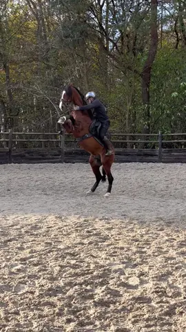 Today was not our day 😅 but we closed off well and hope for a better day tomorrow ☺️ #rearinghorse #horsesoftiktok #horsetraining #blooper 