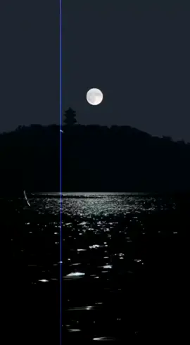 #ستوريات_حالات #الذيب 