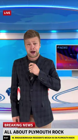 Happy Thanksgiving Pilgrims #thanksgiving #plymouthrock  #massachusetts 