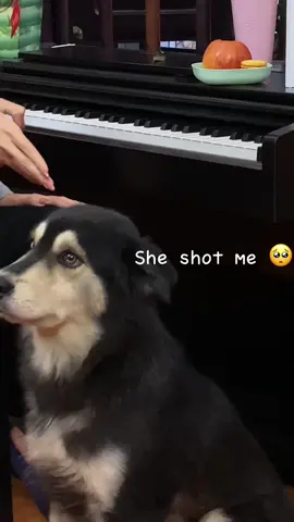 Love me, love my babi 