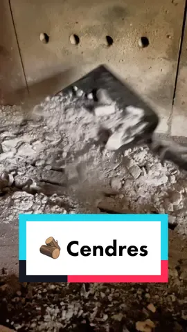 Ne jetez pas vos cendres ! 🪵🔥#jardin #DIY #zerodechet #tiktokacademie 
