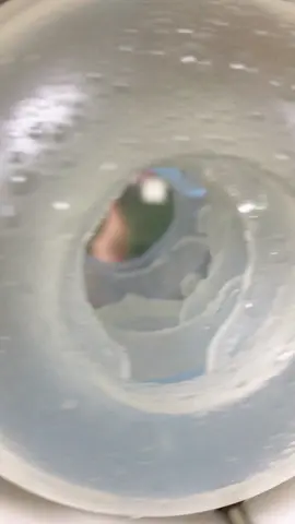 #manstoy #petsmart #us 