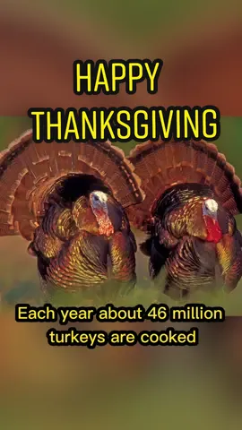 Eatin good today #thanksgiving #food #funfacts #happythanksgiving #fyp #foryou 