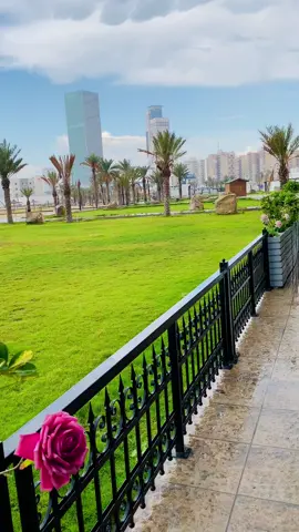 ليبيا من لي بغيِرك عشقاً فأعشقهُ♥️🫂 اكسبلور خلوهم يشوفو جمال عاصمتنا♥️ #اكسبلور #fyp #foryou #ليبيا #طرابلس #العاصمة #الشعب_الصيني_ماله_حل😂😂 #💚 #❤️ 