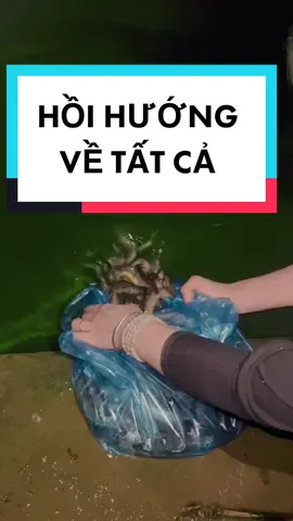 Vầng trăng sáng ở trên bầu trời, Dường như sáng cả tâm hồn tôi 🙏 #nammoadidaphat #nammobonsuthichcamauniphat #nammoquantheambotat #nammodiatangvuongbotat #nammodaithechibotat #phatphap #phatphapnhiemmau #giaithoat #giacngo #quyytambao #phattaitam #phatvadoisong #LearnOnTikTok #xuhuongtiktok #xuhuong #trending #fyp #tiktok #tiktokshopp #tayphuongcuclac #tamlinh #tailoc #mayman #xuhuong #Master2022byTikTok #phóngsanh #hồihuongcongducchame #foryou #foryoupage 