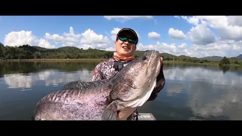 ชะโดยักษ์ใหญ่ที่สุดในชีวิต คลิปเต็มเร็วๆนี้ ใน YouTube Chen คนล่าฝัน