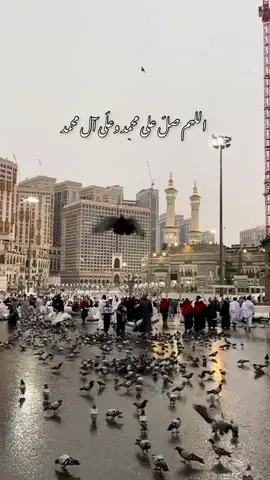 #اللهم_صلي_على_نبينا_محمد #يوم_الجمعه 