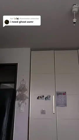 Antwort auf @🐈🐈‍⬛ MY VIDEO JUST GOT OVER 1MIL VIEWS AND 10k FOLLOWERS OVER NIGHT TYSM😭❤️ HOWW🫵🏻😀#handpuppet #foryoupage #1mil #paperdragonpuppet #viralvideo #ghost 