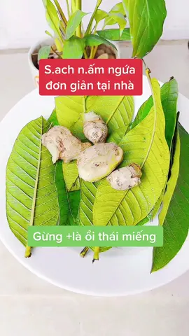 K.lo mất tiền triệu chỉ với #2k.sạch.nấm.ngứa đơn.giản tại.nhà #eva#xuhuong#meovatcuocsong #meohaychiase #duocsy6