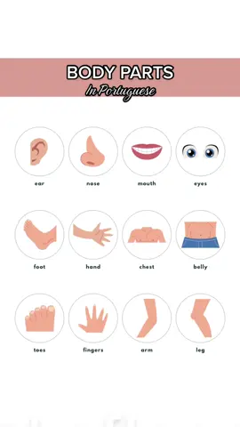 Learn how to say these body parts in Portuguese🇵🇹 #learnportuguese #falarportugues #howtospeakportuguese #vocabulary #bodyparts #inportuguese 