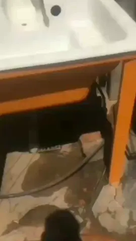 #parati #fypシ #viral #calle #callejerofino #simon #humor #argentina🇦🇷 #argentina #Cumbia #cumbiavillera #lycris 