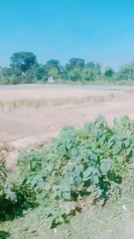 4 mas hye gelo apni r amr nai#alone #brrokenheart💔🥀 #ময়মনসিংহের_মেয়ে🤟😎 