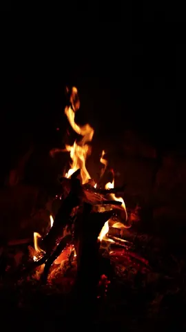 #bonfire #nightfire #nightmood #nightvibes #campsite 