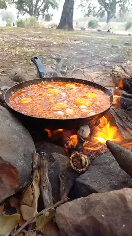 الإستمتاع بلحظة لا تنسى ❤️❤️ #camping #tuinis 🇹🇳🇹🇳