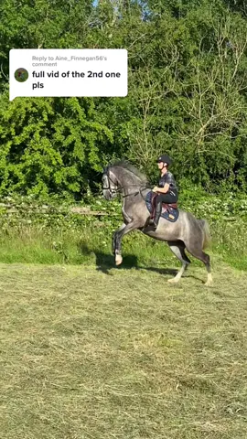 Replying to @Aine_Finnegan56 it’s not as dramatic as it may have seemed🤣 he was just excited to be in an open field and trotting wasn’t enough😅 #horsetok #horsesoftiktok #horsefail #horsegirl #equestrian #StumbleToVictory 