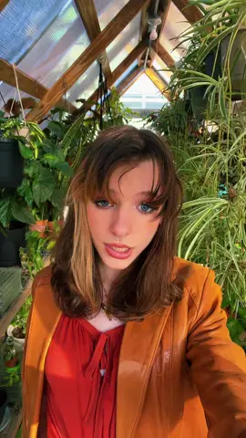 SO MANY PLANTS