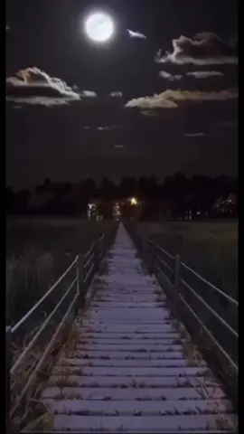 #اكسبلور#مهدي#بن#سميطان#الانسان#مايزعل#بسهولة