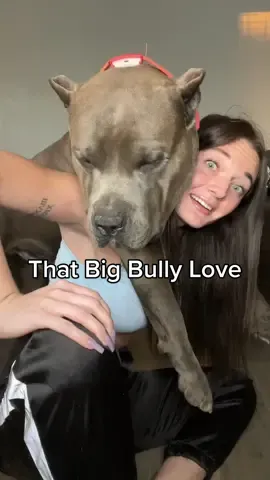 Diesel you are HEAVY ahhhk #bigsogsoftiktok #strongdogsoftiktok #dogs 