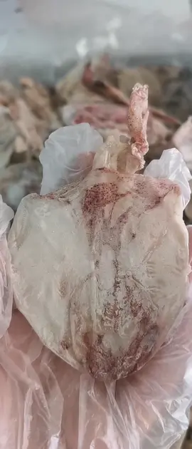 หมึกผ่าA6 มาใหม่ สวยๆ ขาวๆ 1 กก. 600 บาท ส่งฟรีปลายทางไม่บวกเพิ่ม #อาหารทะเลแห้งแปรรูป #อาหารทะเลแห้งปลีกส่ง #อาหารทะเล #อาหารพื้นบ้าน 