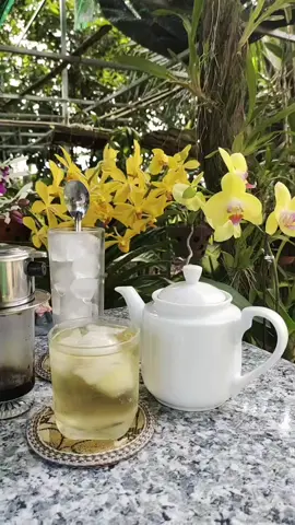 Bên tách Café đen chúng Ta ôn chuyện Đời.💞💞💞