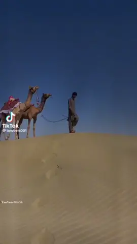 #viral #video #foryou #thar 