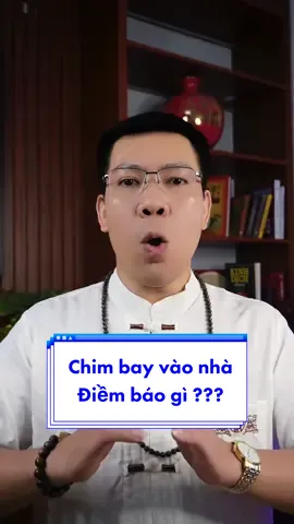 Chim bay vào nhà là điềm báo gì #xuhuong #LearnOnTikTok #tamlinh #phongthuy #hoanghuuviet 