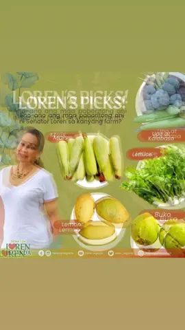 Sa dami ng mga tanim kong gulay at prutas sa aking farm, ito ang mga paborito ko!  Nakakatuwa na ilan sa mga pagkaing kailangan ko pang bilhin sa palengke noon ay pwede ko ng anihin sa aking bakuran ngayon. Naibabahagi ko rin ang mga harvest na ito sa aking mga staff at kaibigan! 🥬🥕🌽🍆🧄  Ngayong World Vegan Month, nais ko rin kayong himukin na magtanim ng prutas at gulay sa inyong tahanan para mas makasanayan ninyo ang pag kain ng plant-based food, lalo na't napakaraming benepisyo nito sa ating katawan.  Sending good vibes sa inyong lahat ngayong Sabado! 💚💖Sa dami ng mga tanim kong gulay at prutas sa aking farm, ito ang mga paborito ko!  Nakakatuwa na ilan sa mga pagkaing kailangan ko pang bilhin sa palengke noon ay pwede ko ng anihin sa aking bakuran ngayon. Naibabahagi ko rin ang mga harvest na ito sa aking mga staff at kaibigan! 🥬🥕🌽🍆🧄  Ngayong World Vegan Month, nais ko rin kayong himukin na magtanim ng prutas at gulay sa inyong tahanan para mas makasanayan ninyo ang pag kain ng plant-based food, lalo na't napakaraming benepisyo nito sa ating katawan.  Sending good vibes sa inyong lahat ngayong Sabado! 💚💖 #environmentalchampion #biodiversityhero #lawmaker #LorenLegarda 